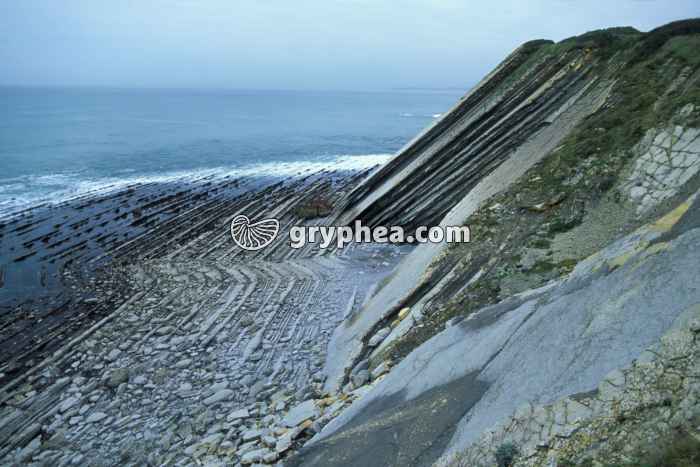 Roches sédimentaires plissées (flyschs) sur la corniche basque - gryphea.org